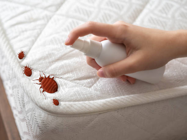 Professional Pest Control in Newcomerstown, OH